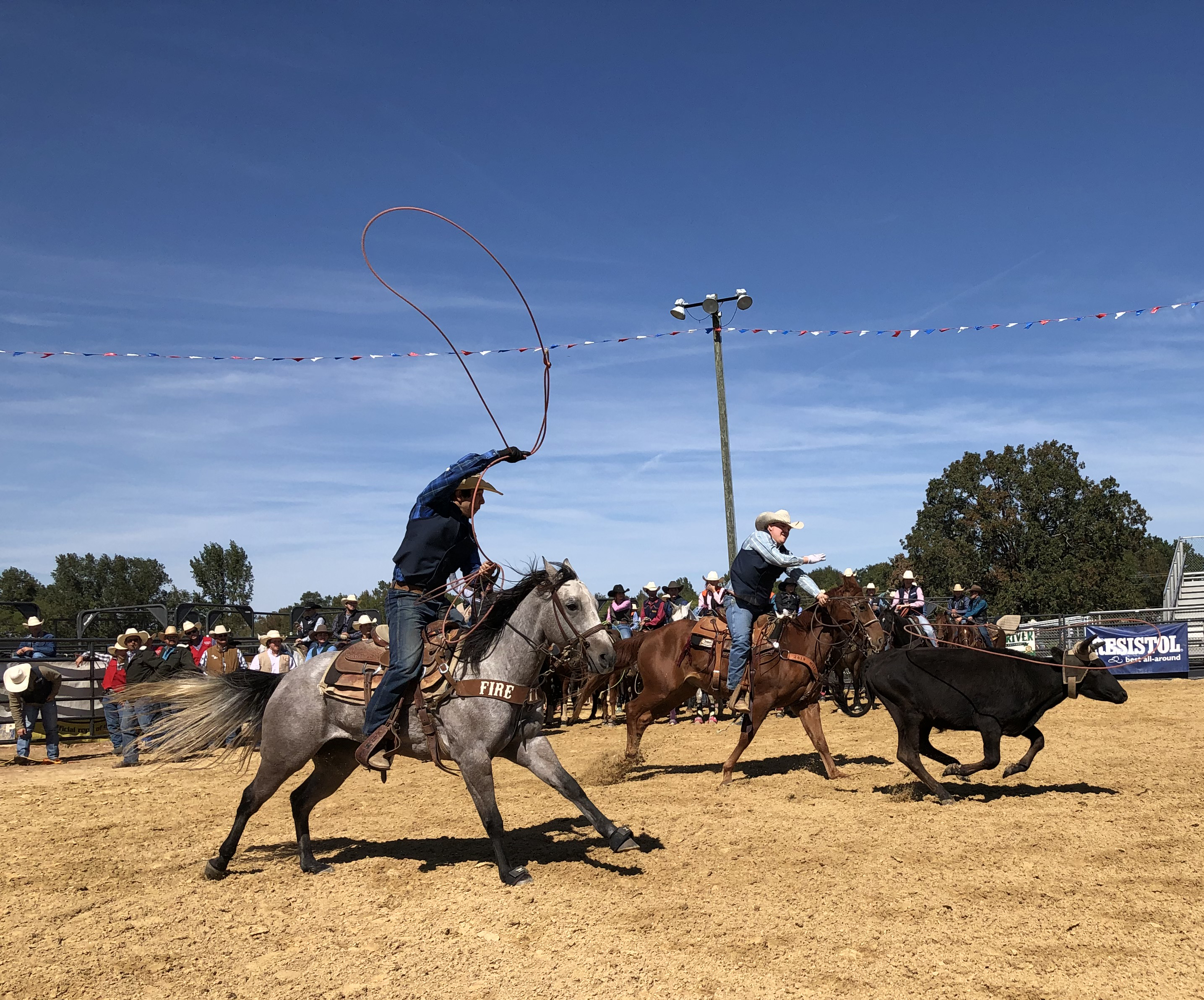 team roping