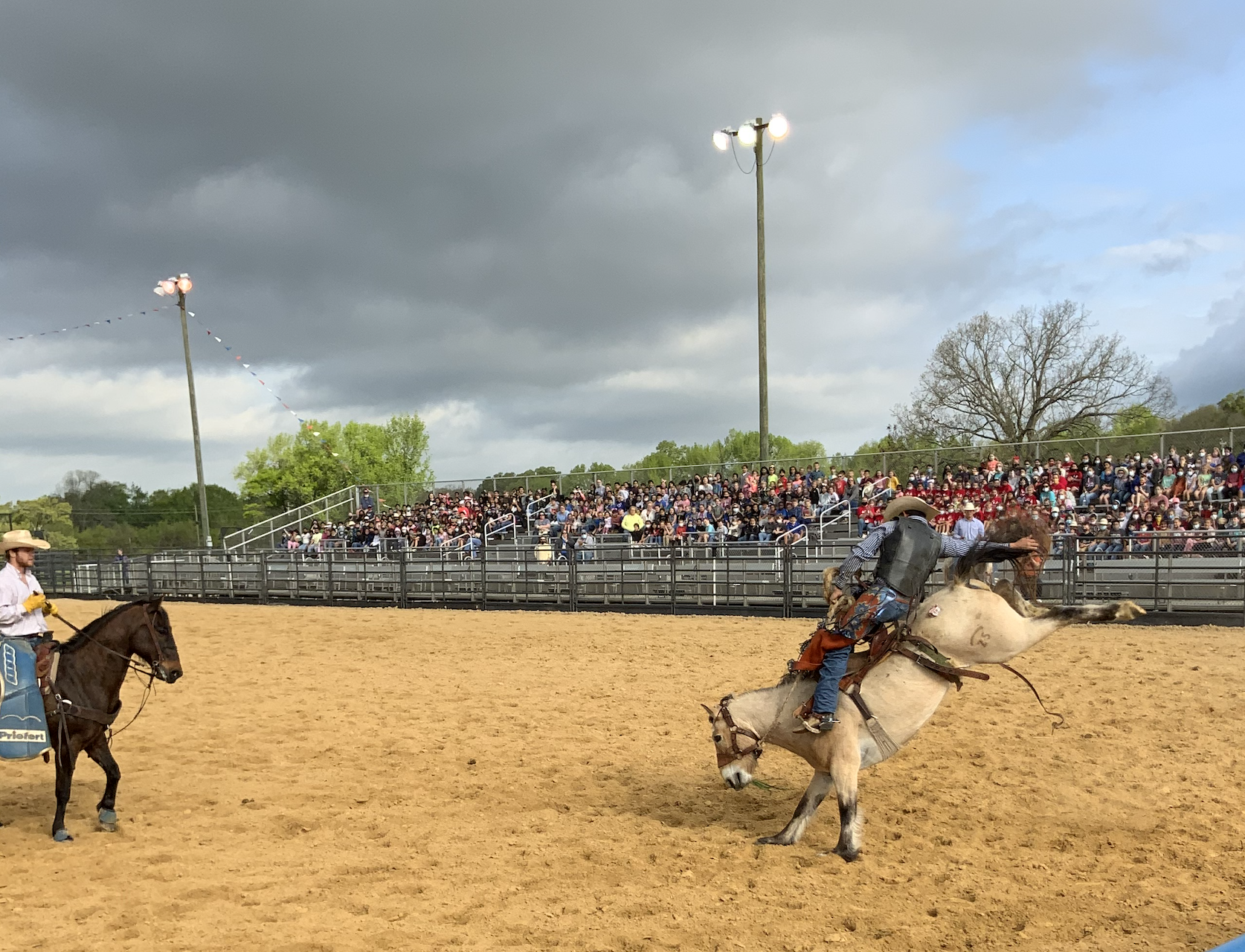 bronc rider