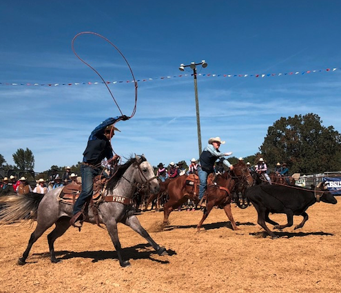 team roping photo