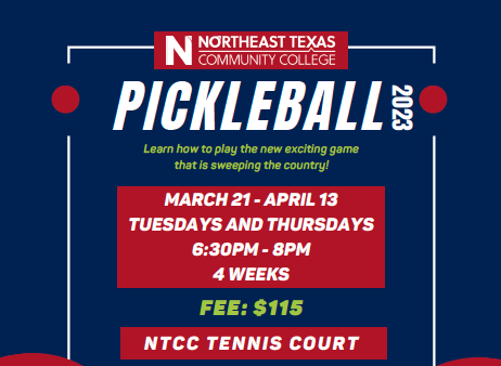 pickleball poster graphic