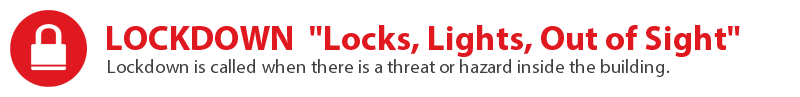 SRP LOCKDOWN Locks, Lights, Out of Sight