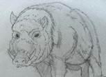 wild hog drawing