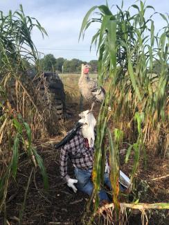 photography club scarecrow