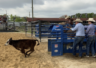 young breakaway roping