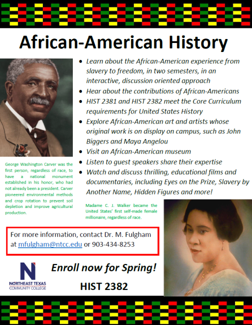 history class flyer