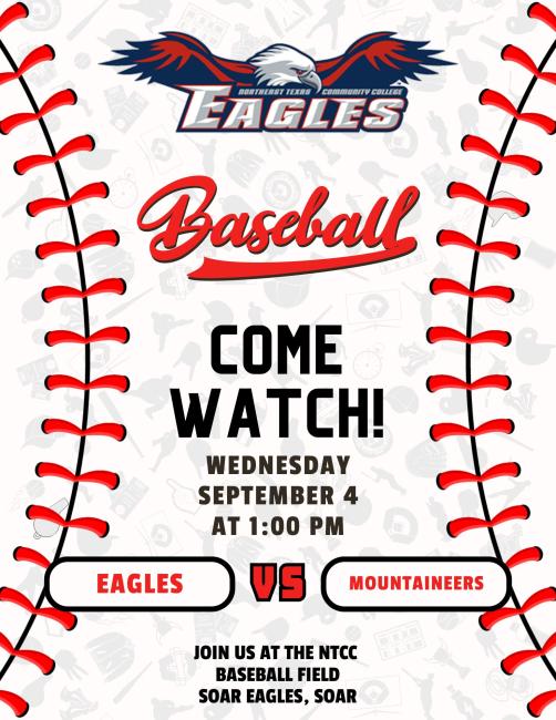 baseball game flyer