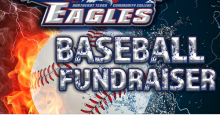 baseball fundraiser graphic