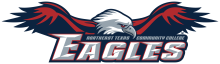 eagles logo