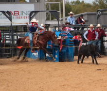 jill white breakaway roping