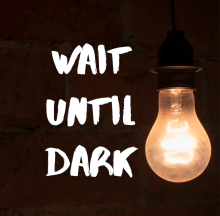 Wait Until Dark by Fredrick Knott