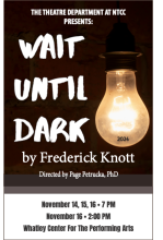 wait until dark poster