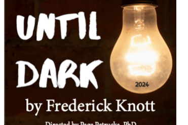 wait until dark poster