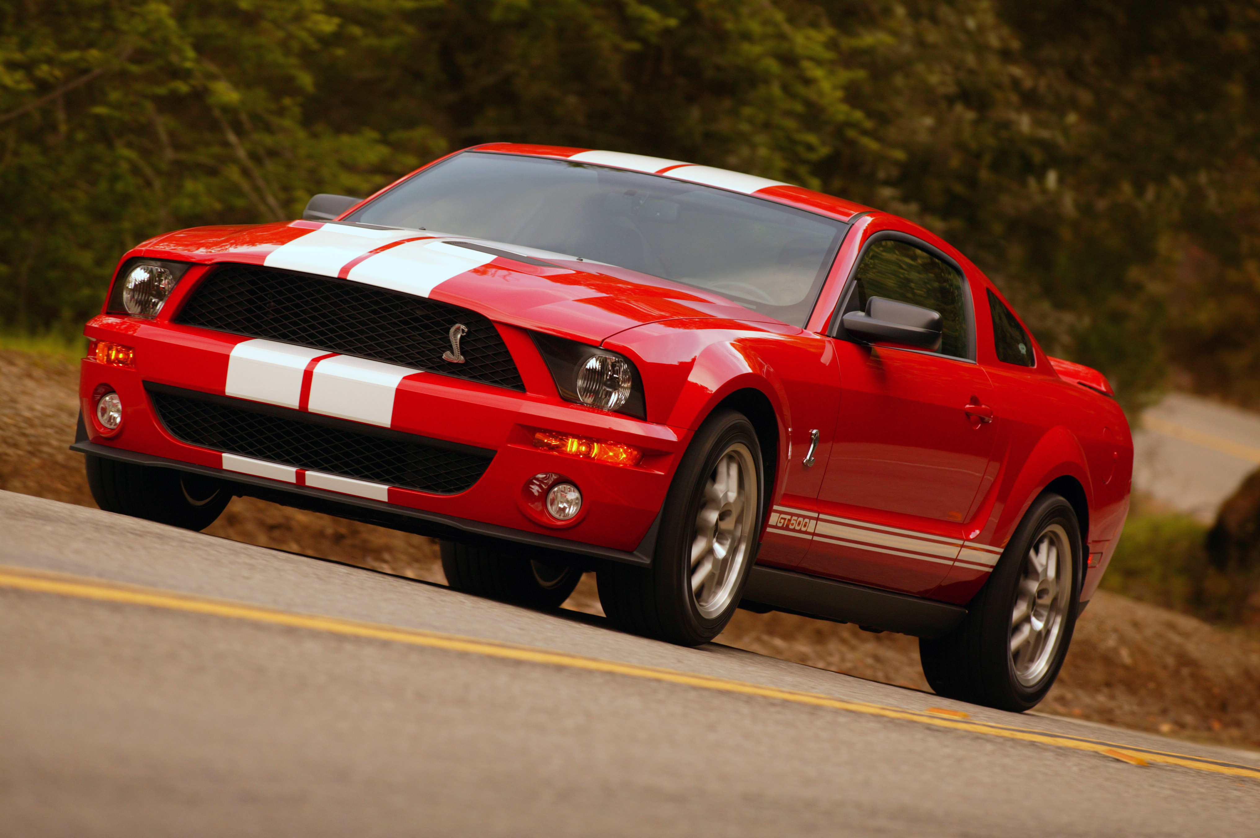 NTCC /uploads/2012/03/07fordshelbygt500_61_HR.jpg