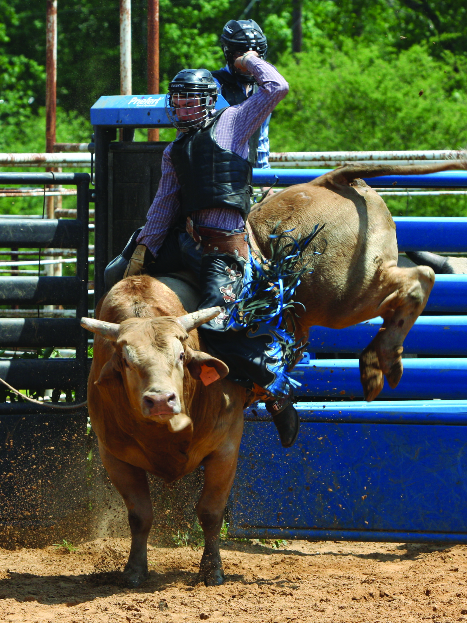 NTCC /uploads/2012/10/Rodeo.jpg