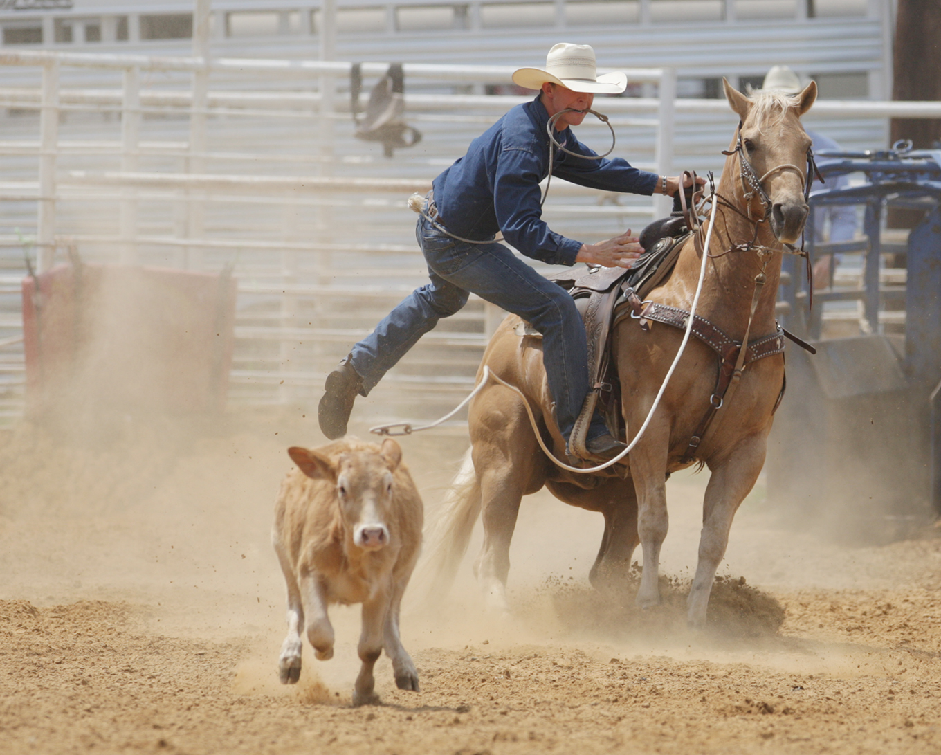 NTCC /uploads/2013/10/calf-roping-1.jpg